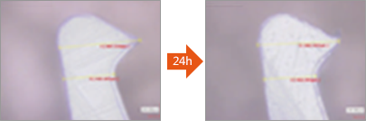 [测试前显微镜图像]  [测试后显微镜图像]