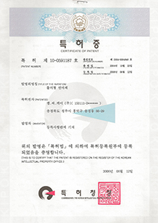 专利-滚轮型研磨体